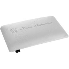 ВЪЗГЛАВНИЦА TONINO LAMBORGHINI